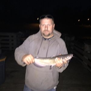 Meet your Posher, Steven